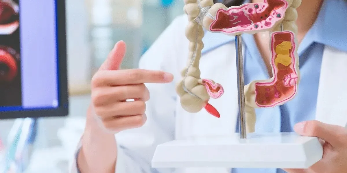 Intestino saudável em 30 dias? Médica revela hábitos