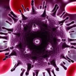 HIV: 2 novos casos de remissão após transplante elevam total para 13
