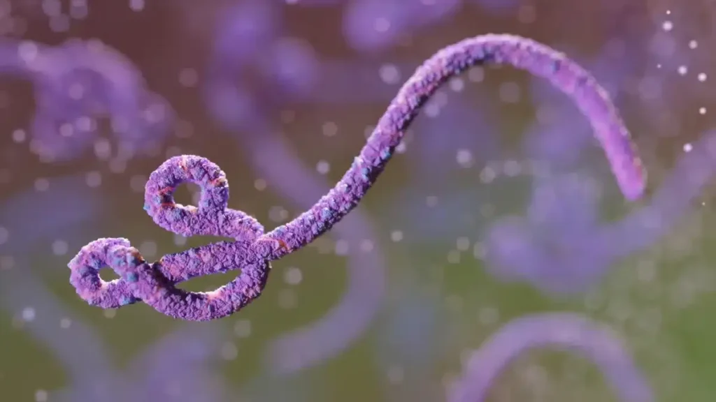 Ebola no Congo já é 2º maior surto da história 1 Ebola no Congo já é 2º maior surto da história