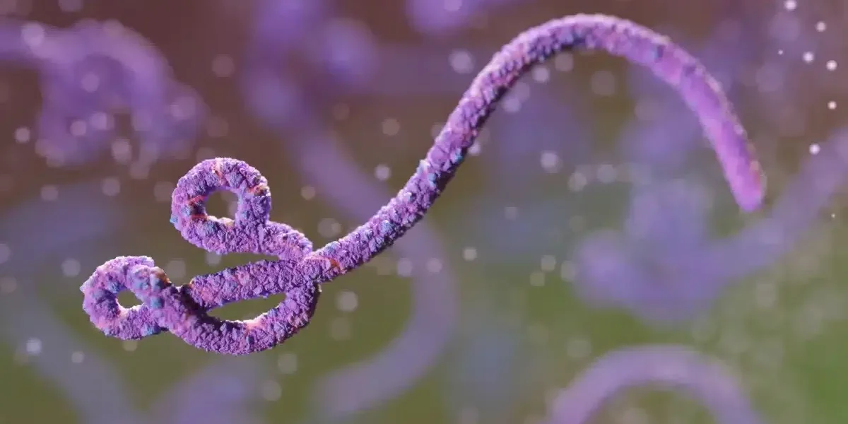 Ebola no Congo já é 2º maior surto da história