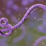Ebola no Congo já é 2º maior surto da história
