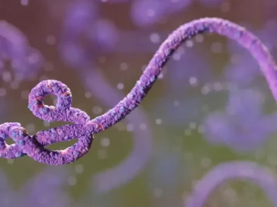 Ebola no Congo já é 2º maior surto da história