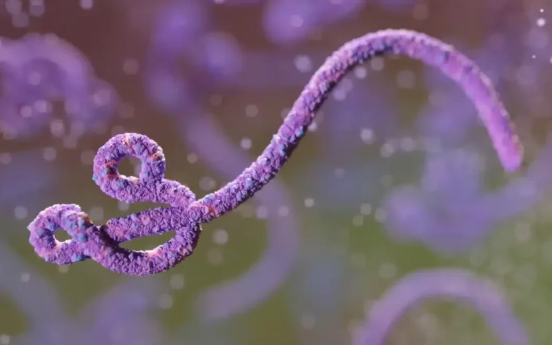 Ebola no Congo já é 2º maior surto da história
